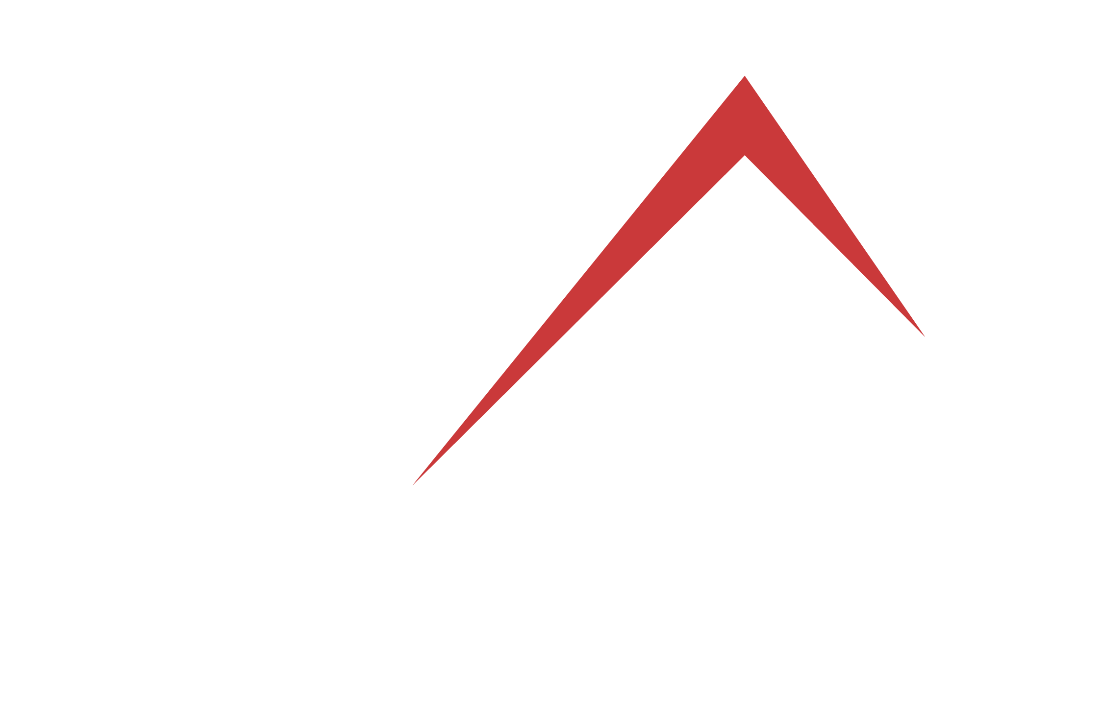 Black Mountain Solutions Logo